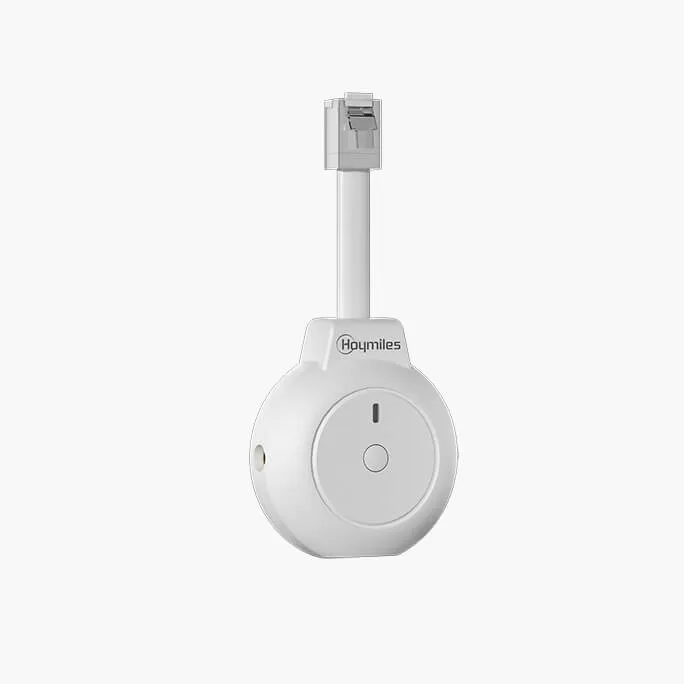Hoymiles P1-meter