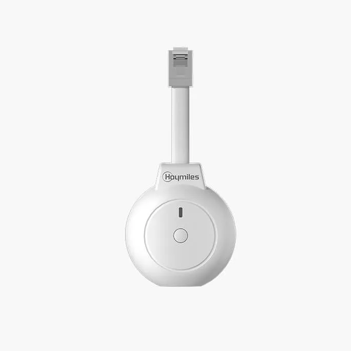 Hoymiles P1-meter
