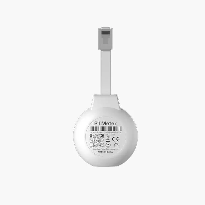 Hoymiles P1-meter