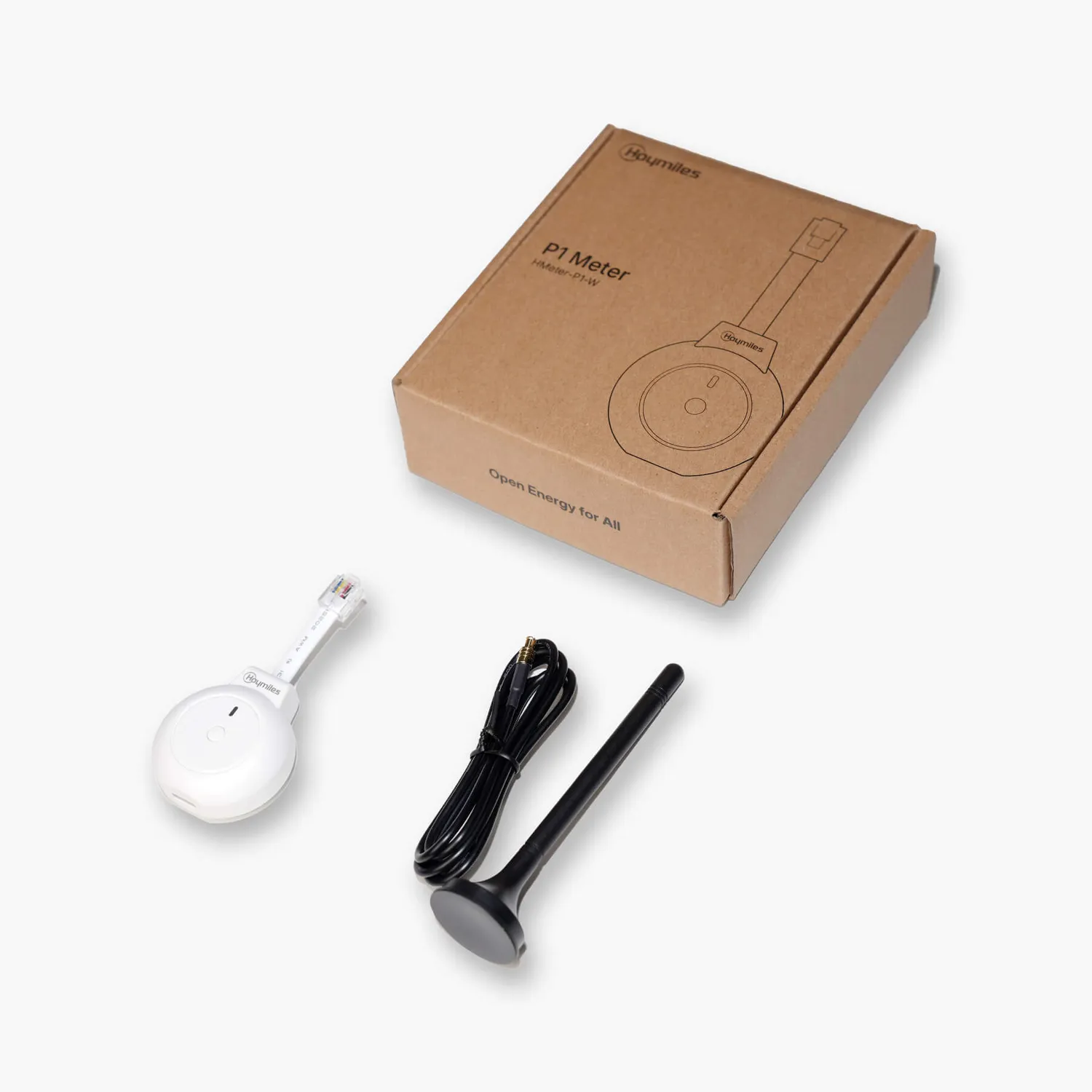 Hoymiles P1-meter